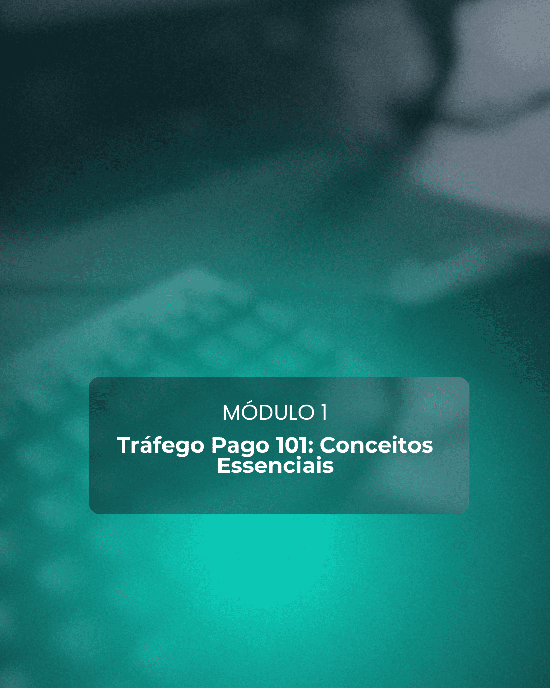 trafeg 3